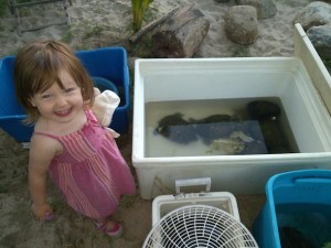 Maya meets sea turtles in Sayulita, Thanksgiving 2014