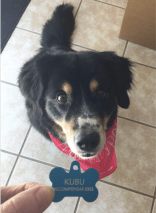 Screen Shot 2015-07-31 at 10.06.57 AM