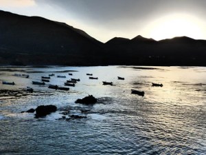 Sunrise over the port