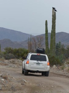 Navigating one of Bahia's many dirt roads