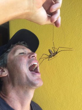 brianeatswhipscorpin